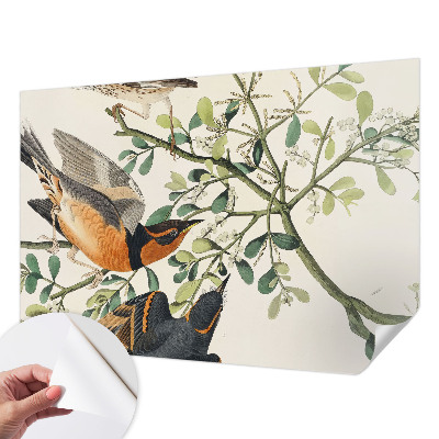 Papel mural con patrón decorativo con pájaros coloridos