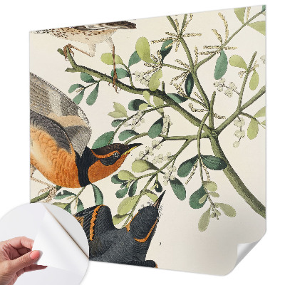 Papel mural con patrón decorativo con pájaros coloridos
