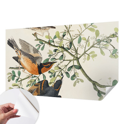 Papel mural con patrón decorativo con pájaros coloridos