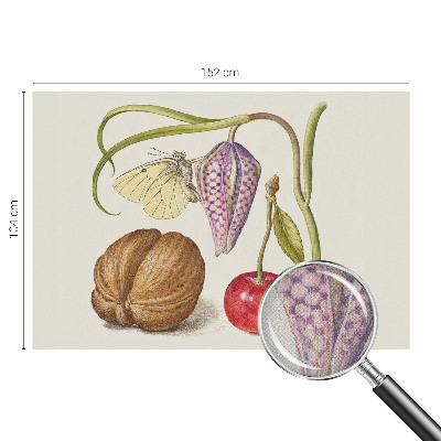 Papel mural con patrón decorativo planta mariposa