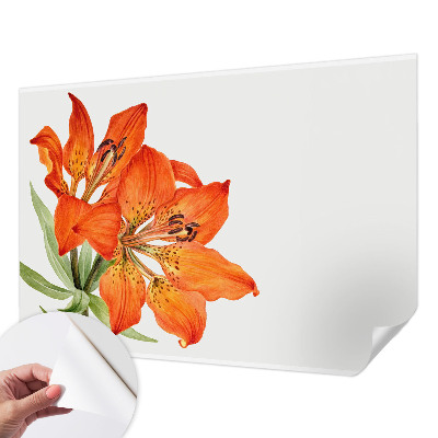 Mural de pared con estampado hermoso lirio naranja