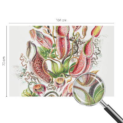 Papel mural texturado decorativo con un acabado con detalles de planta