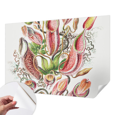 Papel mural texturado decorativo con un acabado con detalles de planta