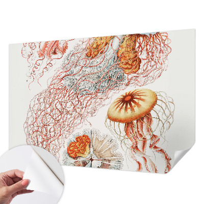 Papel mural con patrón decorativo con diseño de medusas elegantes