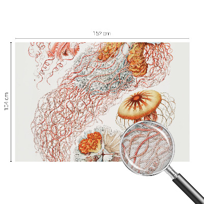 Papel mural con patrón decorativo Medusas elegantes