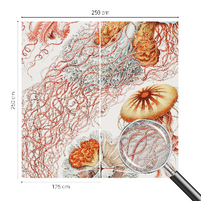 Papel mural con patrón decorativo Medusas elegantes