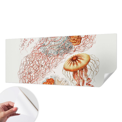 Papel mural con patrón decorativo Medusas elegantes