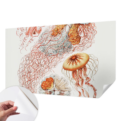 Papel mural con patrón decorativo Medusas elegantes
