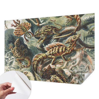 Fotomural decorativo para cabecero de cama Reptiles exóticos