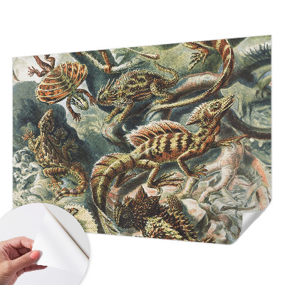 Fotomural decorativo para cabecero de cama Reptiles exóticos