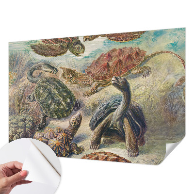 Papel mural texturado decorativo con un diseño de tortugas