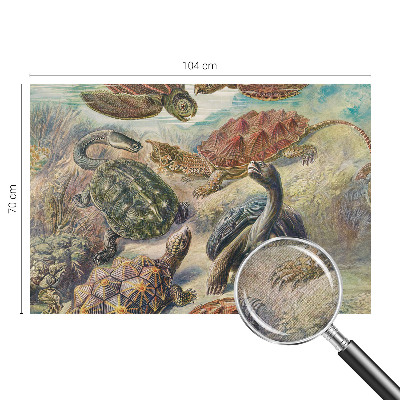 Papel mural texturado decorativo con un diseño de tortugas