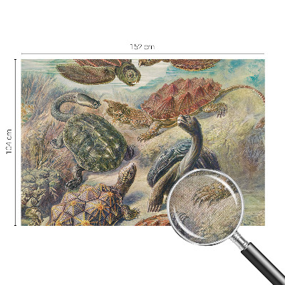 Papel mural texturado decorativo fauna de tortugas