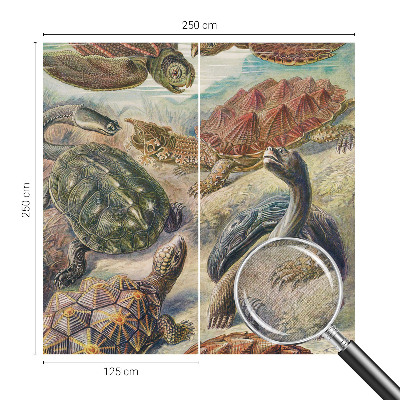 Papel mural texturado decorativo fauna de tortugas