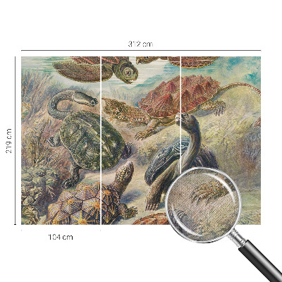 Papel mural texturado decorativo fauna de tortugas