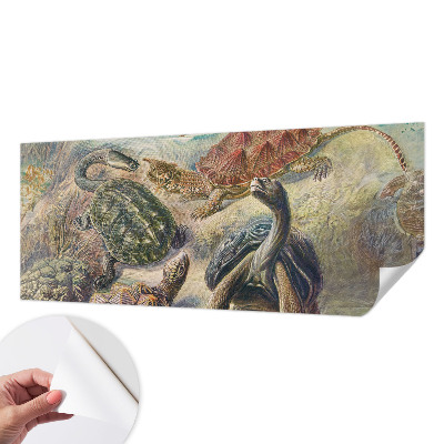 Papel mural texturado decorativo fauna de tortugas