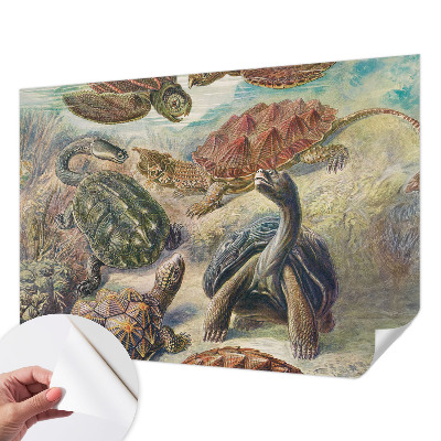 Papel mural texturado decorativo con un diseño de tortugas