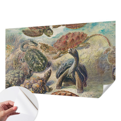 Papel mural texturado decorativo con un diseño de tortugas