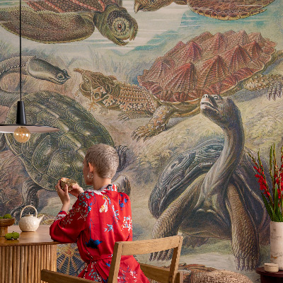 Papel mural texturado decorativo fauna de tortugas
