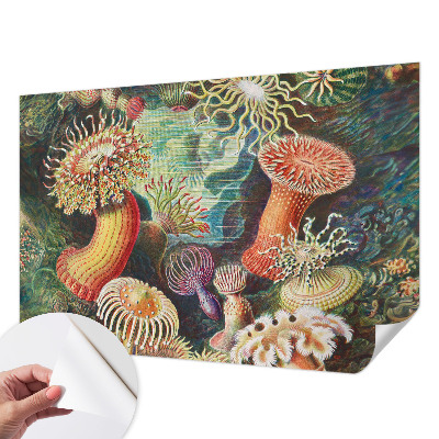 Fotomural decorativo para cabecero de cama con diseño de anémonas elegantes