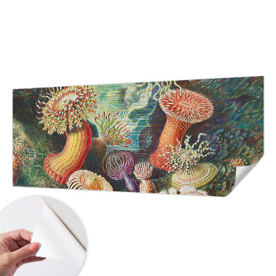 Fotomural decorativo para cabecero de cama anémonas elegantes