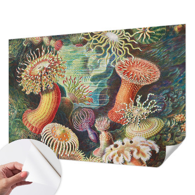 Fotomural decorativo para cabecero de cama anémonas elegantes