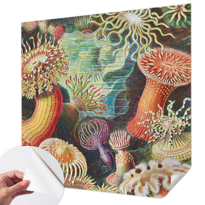 Fotomural decorativo para cabecero de cama anémonas elegantes