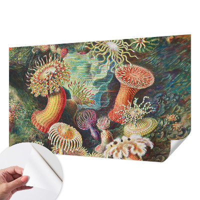 Fotomural decorativo para cabecero de cama anémonas elegantes