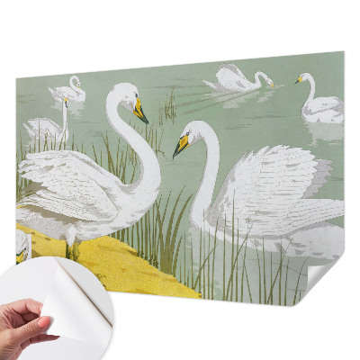 Papel mural con patrón decorativo El lago de los cisnes