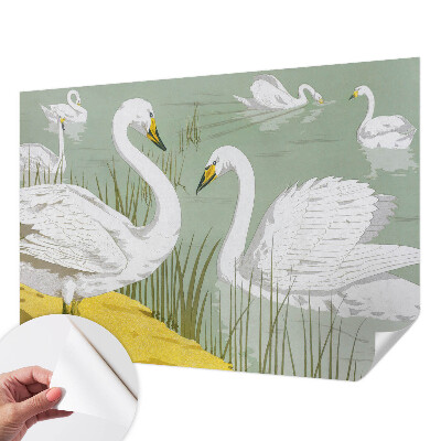 Papel mural con patrón decorativo El lago de los cisnes