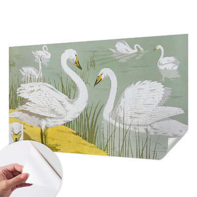 Papel mural con patrón decorativo El lago de los cisnes