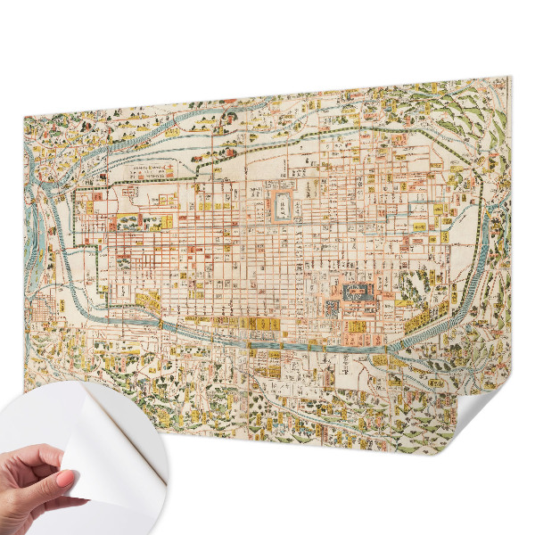 Fotomural decorativo para cabecero de cama con motivo de mapa antiguo