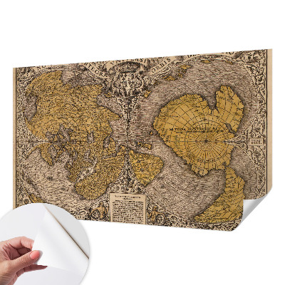 Papel mural texturado decorativo con diseño de cartografía histórica