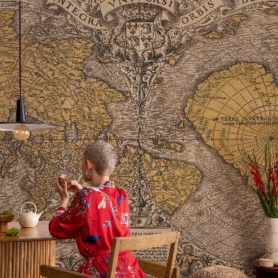 Papel mural texturado decorativo cartografía histórica