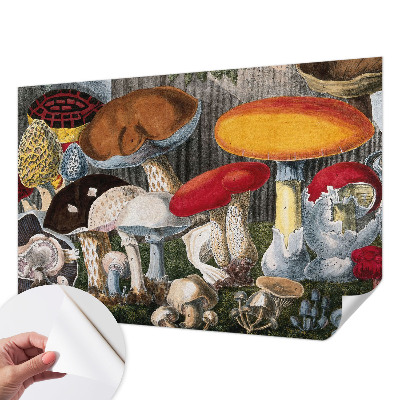 Papel mural con patrón decorativo con diseño de hongos botánicos