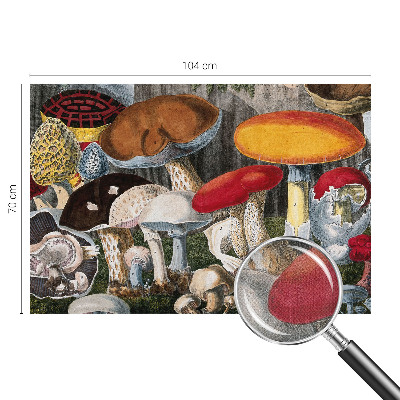 Papel mural con patrón decorativo Hongos botánicos