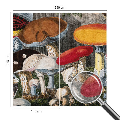 Papel mural con patrón decorativo Hongos botánicos