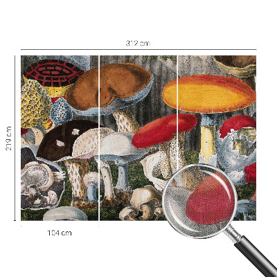 Papel mural con patrón decorativo Hongos botánicos