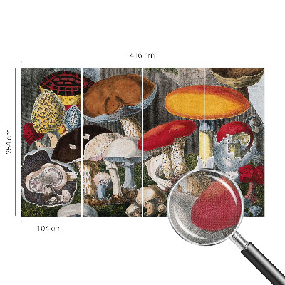 Papel mural con patrón decorativo Hongos botánicos