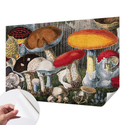 Papel mural con patrón decorativo con diseño de hongos botánicos