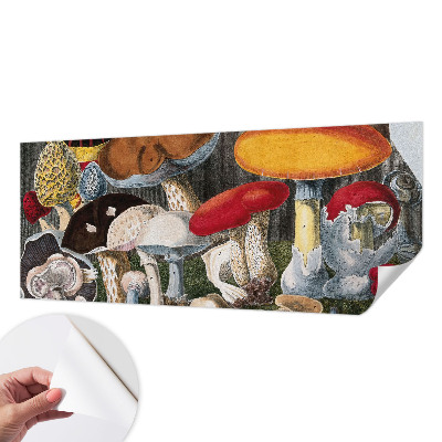 Papel mural con patrón decorativo con diseño de hongos botánicos