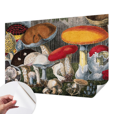 Papel mural con patrón decorativo con diseño de hongos botánicos