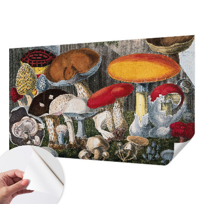 Papel mural con patrón decorativo con diseño de hongos botánicos
