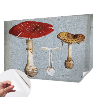 Fotomural decorativo para cabecero de cama con grabados de setas