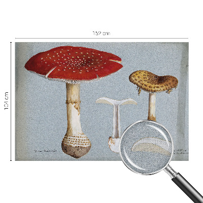 Fotomural decorativo para cabecero de cama con grabados de setas