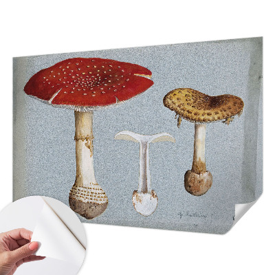 Fotomural decorativo para cabecero de cama con grabados de setas