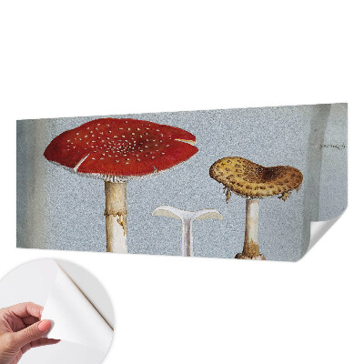 Fotomural decorativo para cabecero de cama con grabados de setas
