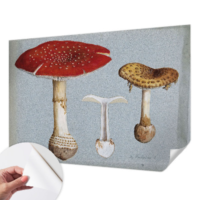 Fotomural decorativo para cabecero de cama con grabados de setas