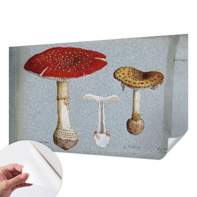 Fotomural decorativo para cabecero de cama con grabados de setas