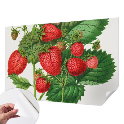 Papel mural con patrón decorativo con motivo de frutas de verano